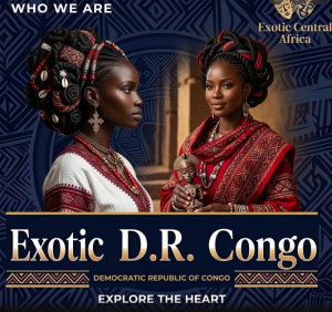 Équipe Exotic DRC examinant les profils et accompagnant les utilisateurs de la plateforme